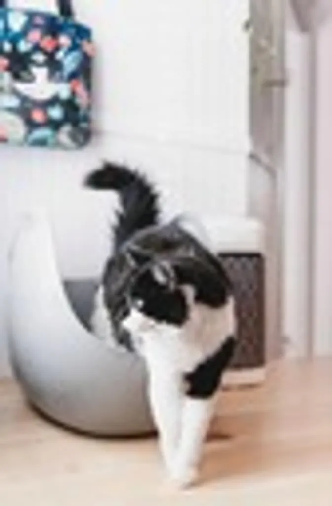 LitterLocker Katzentoilette 5665 X 447 Cm Weiß 2-teilig 6 LitterLocker Katzentoilette 5665 X 447 Cm Weiß 2-teilig – Bild 6