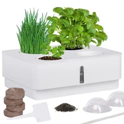 ONVAYA® Zimmergewächs Anzucht Set | Zimmer Gewächshaus Inkl. Kokoserde Und Saatgut | Kleines Gewächshaus Mit Smart Bewässerungssystem Zimmergarten