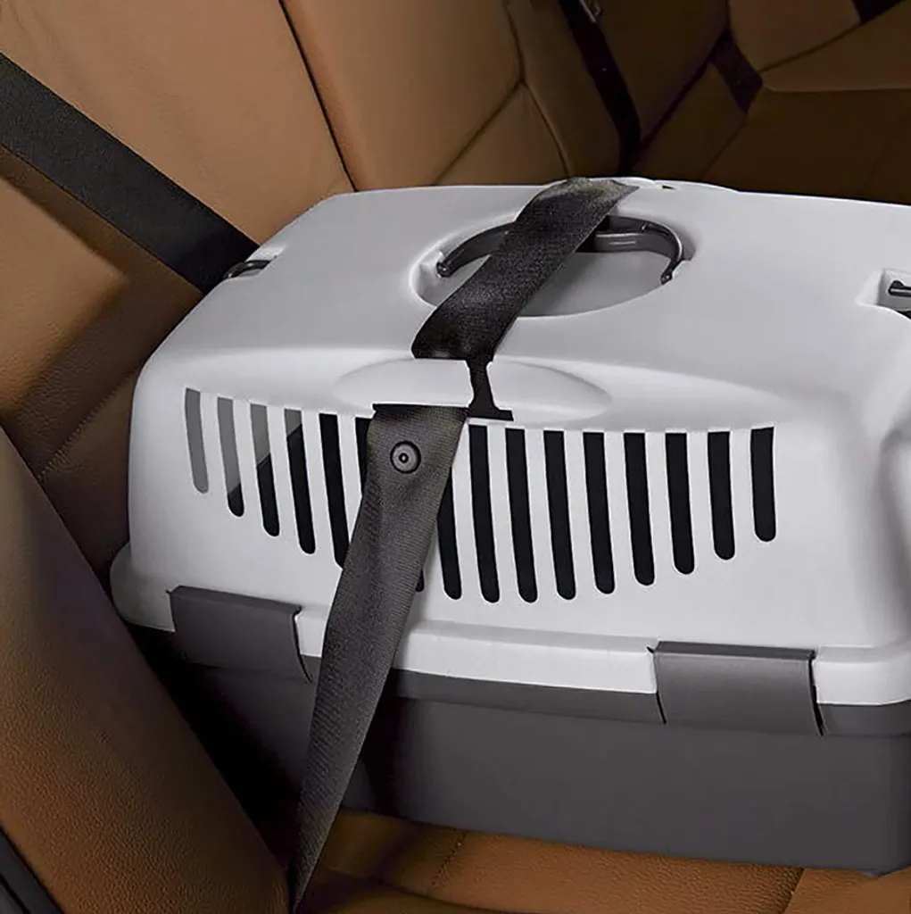 CENTI Kunststoff Transportbox Für Tiere Metalltür 32 X 48 X 32 Cm 3 CENTI Kunststoff Transportbox Für Tiere Metalltür 32 X 48 X 32 Cm – Bild 3