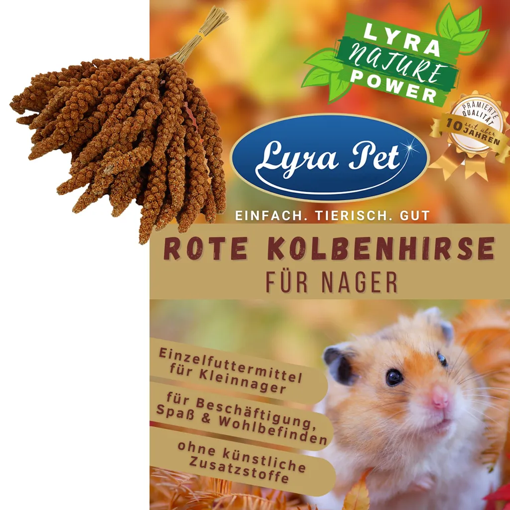 15 Kg Lyra Pet® Kolbenhirse Rot Für Kleinnager 1 15 Kg Lyra Pet® Kolbenhirse Rot Für Kleinnager