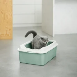 Rotho MyPet Katzentoilette Rotho My Pet Bonnie Eco WeißGrün -Garten- & Gewächshäuser Geschäft 0b59b06ebae600ba496738f3e695d243
