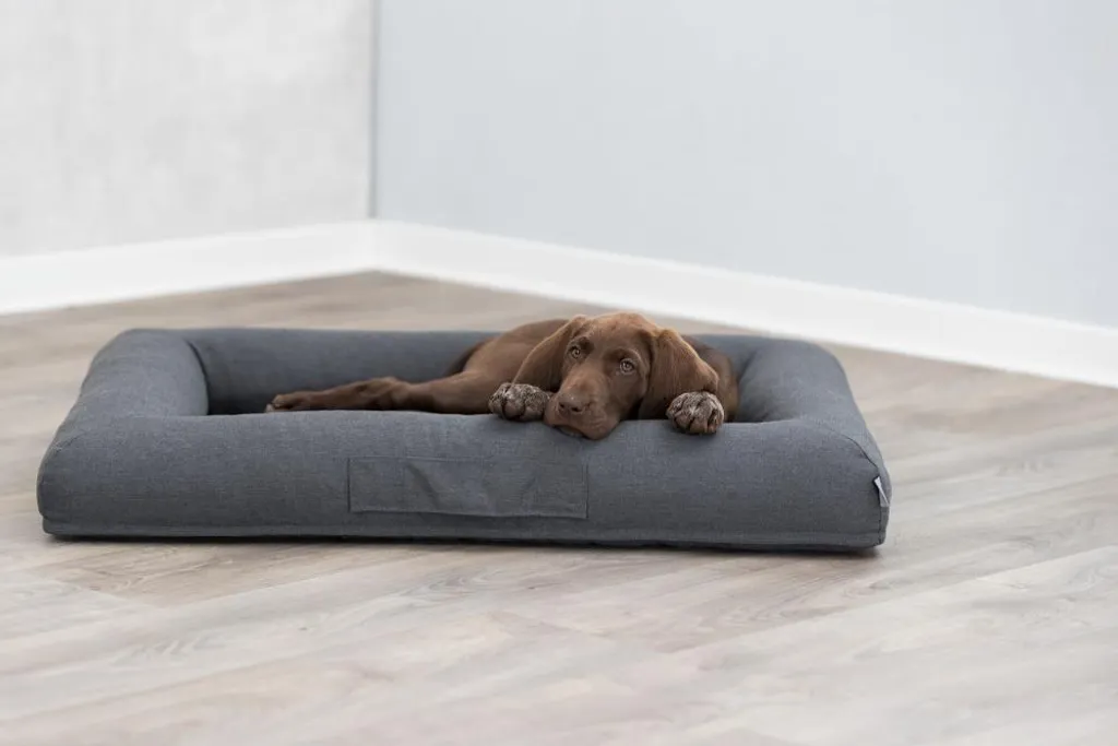 TRIXIE Heimtierbedarf Orthopädisches Hundebett Hundekissen Hundesofa Hundekorb 80x60/100x80cm 12 TRIXIE Heimtierbedarf Orthopädisches Hundebett Hundekissen Hundesofa Hundekorb 80x60/100x80cm – Bild 12