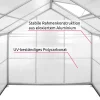 Tectake Gewächshaus Aus Aluminium Mit Fundament - 190 X 185 X 195 Cm