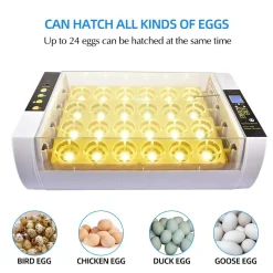 Topchances Inkubator Automatische Brutmaschine Vollautomatisch 24-Inkubator-Brutapparat Mit Automatischem Turner, Temperatur- Und Feuchtigkeitsregelung Für Huhn Enten Gänse Geflügel Taube Wachtel -Garten- & Gewächshäuser Geschäft 105c4168b3560d7d27e562e3bffbc8d6