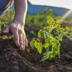 Relaxdays Foliengewächshaus 110x180x150 Cm 13 Relaxdays Foliengewächshaus 110x180x150 Cm -Garten- & Gewächshäuser Geschäft 10b5054de19ab87388143f2ef645c32d