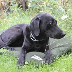 MewogS Hundedecke PRO-THERMO Faserpelz 70x100 Oliv 5 MewogS Hundedecke PRO-THERMO Faserpelz 70x100 Oliv -Garten- & Gewächshäuser Geschäft 111c01abecd8a963589daf78bd8364b2