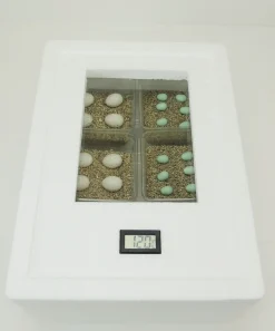 Garten- & Gewächshäuser Geschäft -Garten- & Gewächshäuser Geschäft 113d945588a4617853b824de8ea26cef