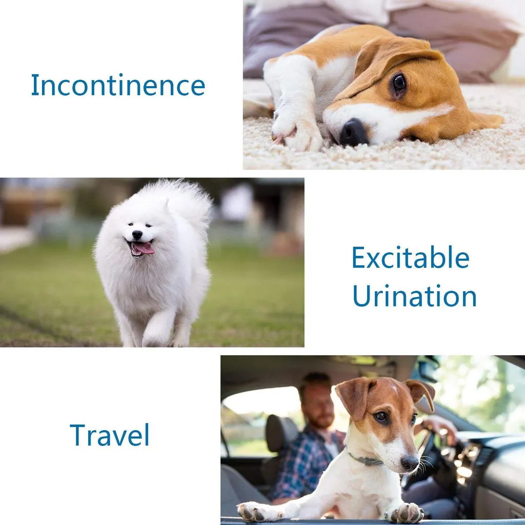 Nobleza Hund Windeln Einweg Welpen Training Windeln Super Absorbent Pet Wraps, XS - 32 X 27 Cm , 12 St. 2 Nobleza Hund Windeln Einweg Welpen Training Windeln Super Absorbent Pet Wraps, XS - 32 X 27 Cm , 12 St. – Bild 2