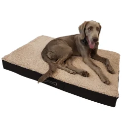 DILUMA Orthopädisches Haustierkissen Benji M 79 X 60 X 8 Cm – Optimaler Liegekomfort Für Ihr Haustier – Viscoelastische Hundematratze Mit Abnehmbaren Bezug Und Antirutschbeschichtung 34 DILUMA Orthopädisches Haustierkissen Benji M 79 X 60 X 8 Cm – Optimaler Liegekomfort Für Ihr Haustier – Viscoelastische Hundematratze Mit Abnehmbaren Bezug Und Antirutschbeschichtung -Garten- & Gewächshäuser Geschäft 12a1ffcfc69906e4f580d1cfeb69ea10