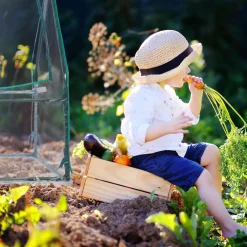 Relaxdays Gewächshaus Mit 3 Fenstern -Garten- & Gewächshäuser Geschäft 12d13363957a43cff5402b7aeea324e2