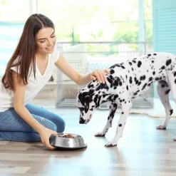 Relaxdays Faltbarer Hundekäfig Für Zuhause 11 Relaxdays Faltbarer Hundekäfig Für Zuhause -Garten- & Gewächshäuser Geschäft 132fbeba2dca1437dfb3cea54e1842ee