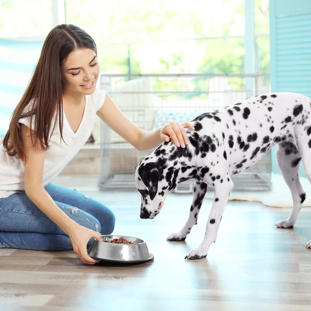 Relaxdays Faltbarer Hundekäfig Für Zuhause 3 Relaxdays Faltbarer Hundekäfig Für Zuhause – Bild 3