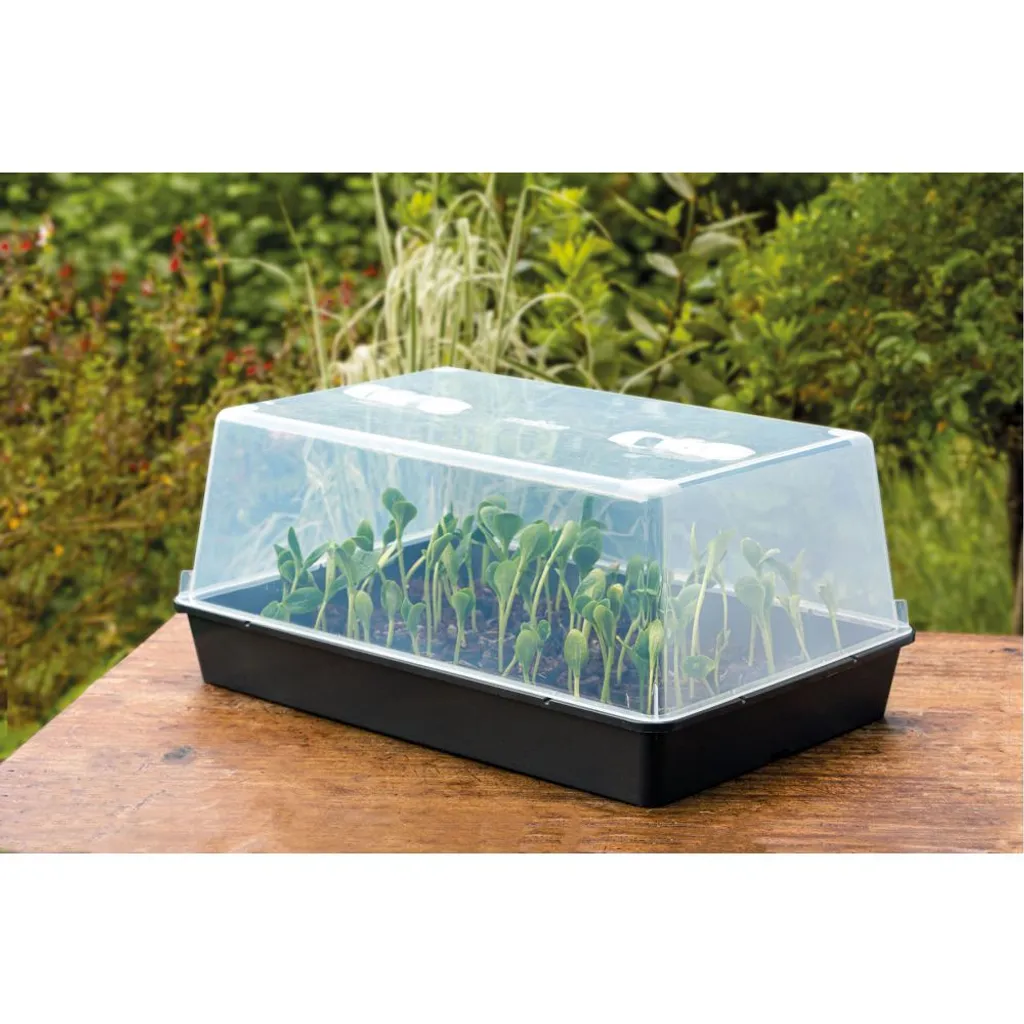 Romberg Gewächshaus XXL 59 X 39 X 27 Cm 2 Romberg Gewächshaus XXL 59 X 39 X 27 Cm – Bild 2