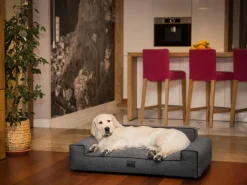 Hobbydog Hundebett GLAMOUR Bett Sofa Schlafplatz Ökoleinen Gewebe Kissen Korb Schwarz XL 98x66 Cm -Garten- & Gewächshäuser Geschäft 17ffe9839baf603c4bec66594cb83dfe 1