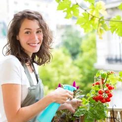 Relaxdays Gewächshaus Folie -Garten- & Gewächshäuser Geschäft 1838724a2a81bf599849cda735812d47