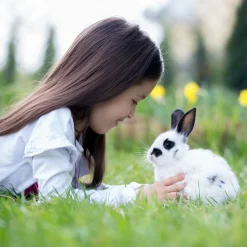 Relaxdays Freilaufgehege Spitzdach 2,2m -Garten- & Gewächshäuser Geschäft 18f432bd6cdf971fd75431cc403ca1f4