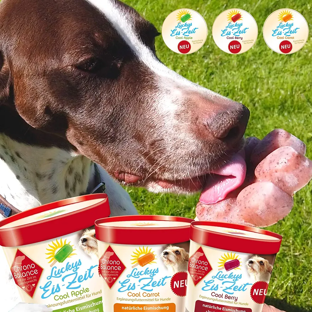HKP Hamburger Konzeptprodukte GmbH & Co. KG ChronoBalance Hundeeis Zum Selbermachen 3 Sorten + Form 1 HKP Hamburger Konzeptprodukte GmbH & Co. KG ChronoBalance Hundeeis Zum Selbermachen 3 Sorten + Form