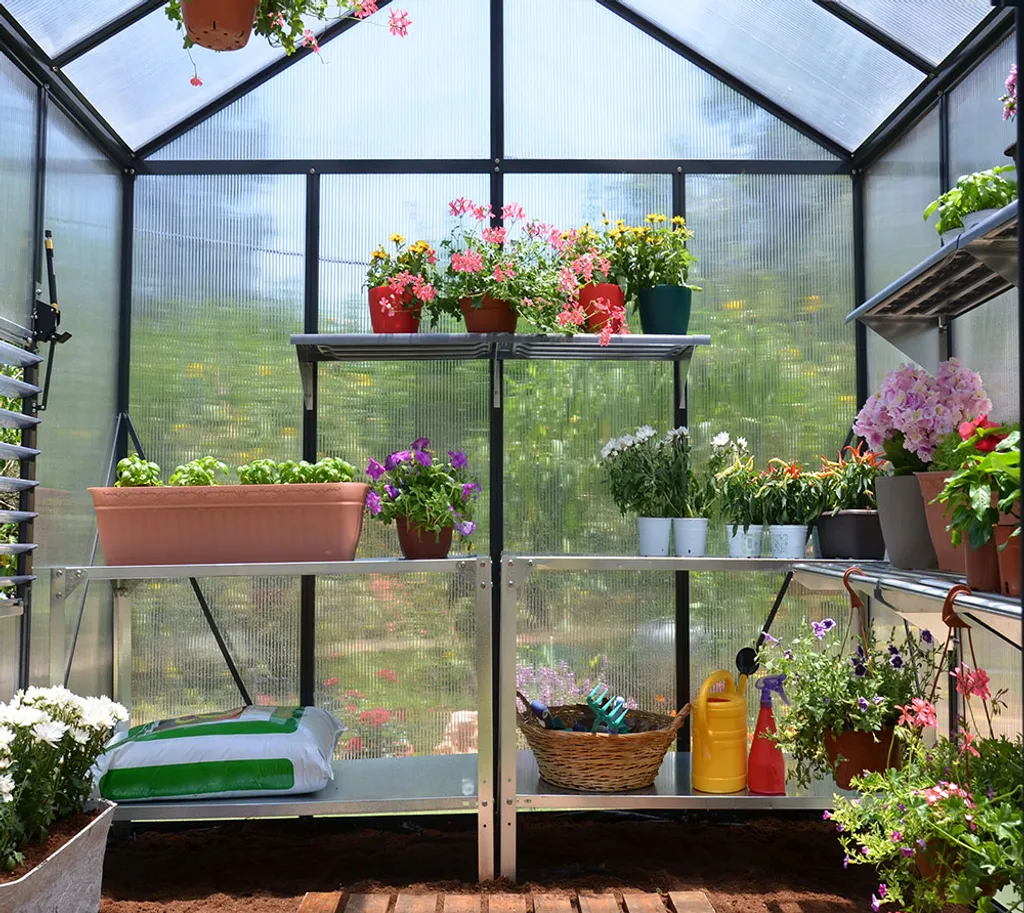 Palram - Canopia Aluminium Gewächshaus Glory 88 | Grau | 244x244x268 Cm 6 Palram - Canopia Aluminium Gewächshaus Glory 88 | Grau | 244x244x268 Cm – Bild 6