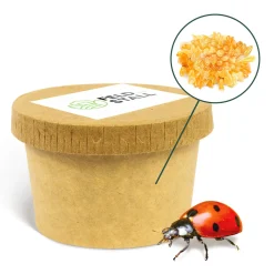 Katz Biotech AG FeldundStall Siebenpunkt Marienkäfer Larven 150 Stk - Nützling Zur Bekämpfung Von Blattläusen