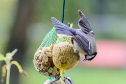 Dobar 23-teiliger Vogelfutter Spezialitäten-Mix Für Wildvögel, Inkl. Meisenknödel, 2700g Wildvogelfutter -Garten- & Gewächshäuser Geschäft 1e3545747880ff735500719a84f38d83
