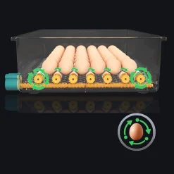 Topchances Brutmaschine Vollautomatisch Hühner Inkubator Hühner Brutautomat Bauernhof Brutkasten Hühner 16 Eier Inkubatoren -Garten- & Gewächshäuser Geschäft 1ea2ebf35766d6bf9c4e102e26e795d4