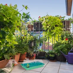 Relaxdays Zimmergewächshaus 24 Fächer 9 Relaxdays Zimmergewächshaus 24 Fächer -Garten- & Gewächshäuser Geschäft 2120b5ed6c62e28cb475ccb8afa519d4