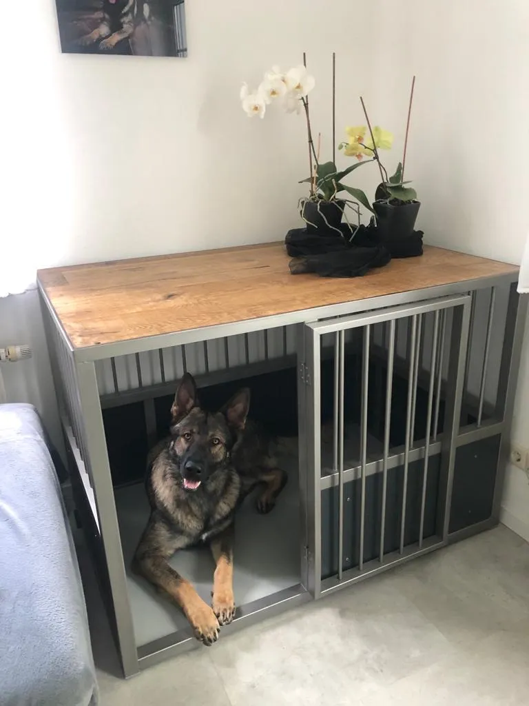 Metallbearbeitung Dul GmbH Hundebox K9 Extra Large Hundebett Hundehaus Hundelieblingsplatz 10 Metallbearbeitung Dul GmbH Hundebox K9 Extra Large Hundebett Hundehaus Hundelieblingsplatz – Bild 10