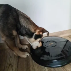 Purlove Futterautomat Für Haustiere 6 Kammern Futternapf Zeitgesteuert 20759 -Garten- & Gewächshäuser Geschäft 23b453edc8596254bafad50d518f8d9c