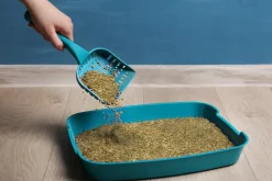 Best4Cat Katzenstreu 10l, Natürlich 100 % Pflanzliche Katzenstreu Klumpstreu | Maisspindelgranulat Katzenstreu Geruchsneutralisierend Mit Maximaler Saugkraft | Staubfrei, Pfotenschonend Für Katzenklo -Garten- & Gewächshäuser Geschäft 23d57faa6c6d614f951b3390567e63bc