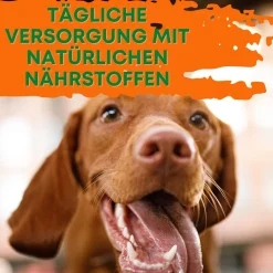 Mahu Natur Reine Bierhefe Hund 400g I Pulver Für Hunde, Katzen & Pferde I Naturprodukt Für Haut Und Schönes Fell I Reich An B, E & H-Vitaminen -Garten- & Gewächshäuser Geschäft 24d8f502c35f8b41796c7dade934c053