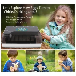 Topchances Brutmaschine Vollautomatisch, Brutgerät Brutkasten Motorbrüter Brutapparate Inkubatoren Für Geflügeleier Mit LED Temperaturanzeige,Temperatur Und Feuchtigkeitsregulierung -Garten- & Gewächshäuser Geschäft 25ce0bacb46d238bada9eb79377df5e3