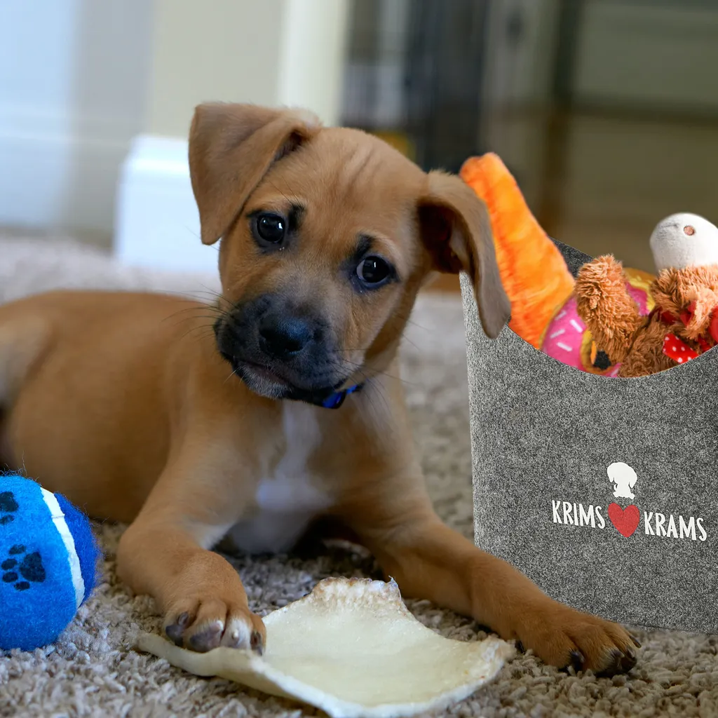 CEPEWA Aufbewahrungskorb "Hundekopf" Hundespielzeug Aufdruck 34x32x22cm Hellgrau Hund Ordnungskorb Filzbox 3 CEPEWA Aufbewahrungskorb "Hundekopf" Hundespielzeug Aufdruck 34x32x22cm Hellgrau Hund Ordnungskorb Filzbox – Bild 3