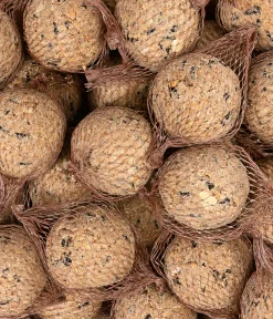 Dehner Natura Wildvogelfutter, Meisenknödel, Bio-Netz, Im Karton, 100 Stück (10 Kg) -Garten- & Gewächshäuser Geschäft 294de1f0b153004134d4b90168979b1b