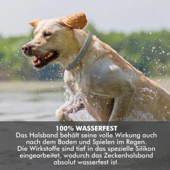 Adraw Zeckenhalsband Für Hunde | Flohhalsband Für Katzen | Natürliches Präventionshalsband | Gegen Zecken, Flöhe & Milben | Passend Für Kleine, Mittlere Und Große Haustiere| Bis Zu 8-Monatiger Schutz -Garten- & Gewächshäuser Geschäft 2c2e9ec5c8ef17a80f3929e4495aa48b