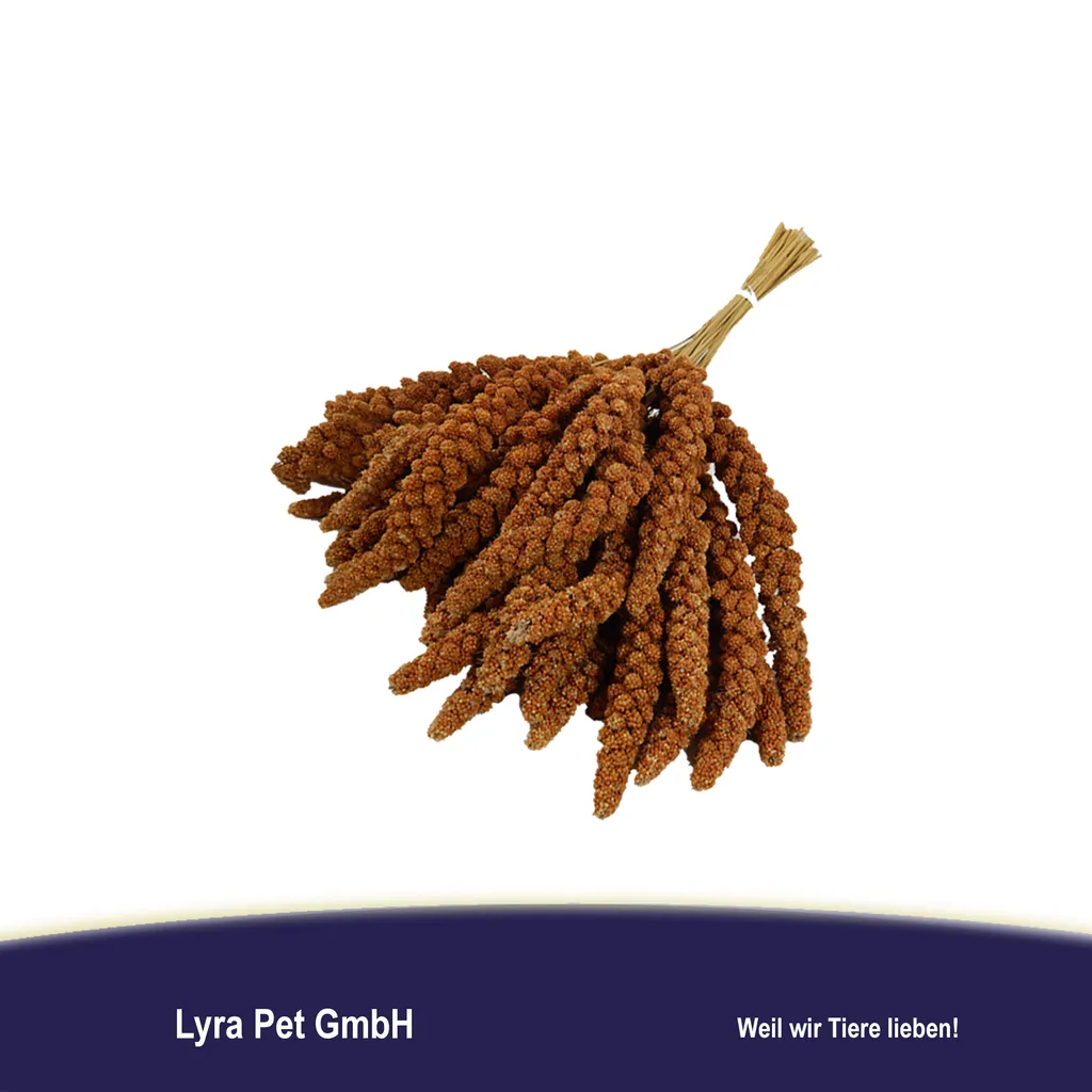 15 Kg Lyra Pet® Kolbenhirse Rot Für Kleinnager 2 15 Kg Lyra Pet® Kolbenhirse Rot Für Kleinnager – Bild 2