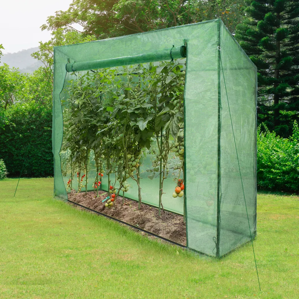 ECD Germany Gewächshaus Mit Gitternetzfolie Und Tür, 200x79x168 Cm, Grün, Für Garten Tomaten Zur Aufzucht, Optimales Pflanzenwachstum, Schrägdach, Treibhaus Tomatenhaus Frühbeet 1 ECD Germany Gewächshaus Mit Gitternetzfolie Und Tür, 200x79x168 Cm, Grün, Für Garten Tomaten Zur Aufzucht, Optimales Pflanzenwachstum, Schrägdach, Treibhaus Tomatenhaus Frühbeet