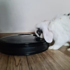 Purlove Futterautomat Für Haustiere 6 Kammern Futternapf Zeitgesteuert 20759 -Garten- & Gewächshäuser Geschäft 2f988b62c689181261423b702cc3c057