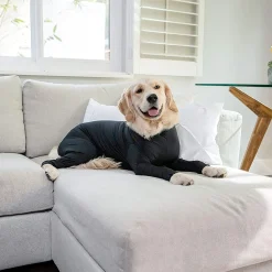 Mmgoqqt Große Hundekleidung Schutzknöchel Haardicht Vierbeinig Klassischer Gestreifter Reißverschluss Haustierpyjama Hundeoverall Für Mittelgroße Hunde Golden Retriever Samojede, Schwarz, L