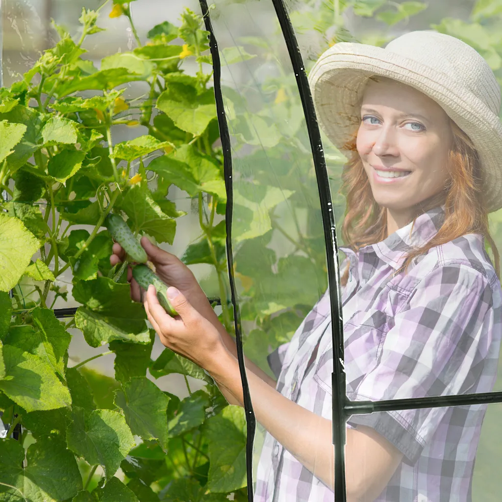 Relaxdays Begehbares Tomatengewächshaus Mit Folie 3 Relaxdays Begehbares Tomatengewächshaus Mit Folie – Bild 3