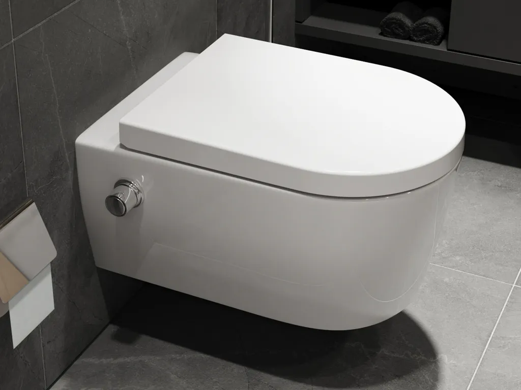 SSWW Taharet WC Inkl. Armatur Und Abnehmbarer Softclose Sitz Dusch-WC Hänge-WC Toilette Mit Bidet-Funktion Hygienisch Alpha Spülrandlos 540 X 360 X 330 Mm 1 SSWW Taharet WC Inkl. Armatur Und Abnehmbarer Softclose Sitz Dusch-WC Hänge-WC Toilette Mit Bidet-Funktion Hygienisch Alpha Spülrandlos 540 X 360 X 330 Mm