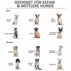 PawHut Hundekäfig Aus Holz Mit Kissen Tischoberfläche Erhöhtes Design Hundebox Für Mittelgroße Hunde Innen Zuhause Tierkäfig Haustier Weiß+Grau 86 X 60 X 70 Cm 15 PawHut Hundekäfig Aus Holz Mit Kissen Tischoberfläche Erhöhtes Design Hundebox Für Mittelgroße Hunde Innen Zuhause Tierkäfig Haustier Weiß+Grau 86 X 60 X 70 Cm -Garten- & Gewächshäuser Geschäft 337eccfa4c2447e64f46de500d136600