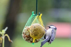Dobar 23-teiliger Vogelfutter Spezialitäten-Mix Für Wildvögel, Inkl. Meisenknödel, 2700g Wildvogelfutter -Garten- & Gewächshäuser Geschäft 348f002c734df92fc421c2c32f3b6f18