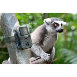 Technaxx Mini Nature Wild Cam Tx-117 -Garten- & Gewächshäuser Geschäft 354d6d451fa9fb4401a2a9d25540b97c