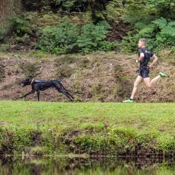 Non-stop Dogwear CANIX-BELT | 123X | Cani-Cross Lauf-Gürtel, Größe:L 23 Non-stop Dogwear CANIX-BELT | 123X | Cani-Cross Lauf-Gürtel, Größe:L -Garten- & Gewächshäuser Geschäft 35968b1cec8f672d487f07a247968c64