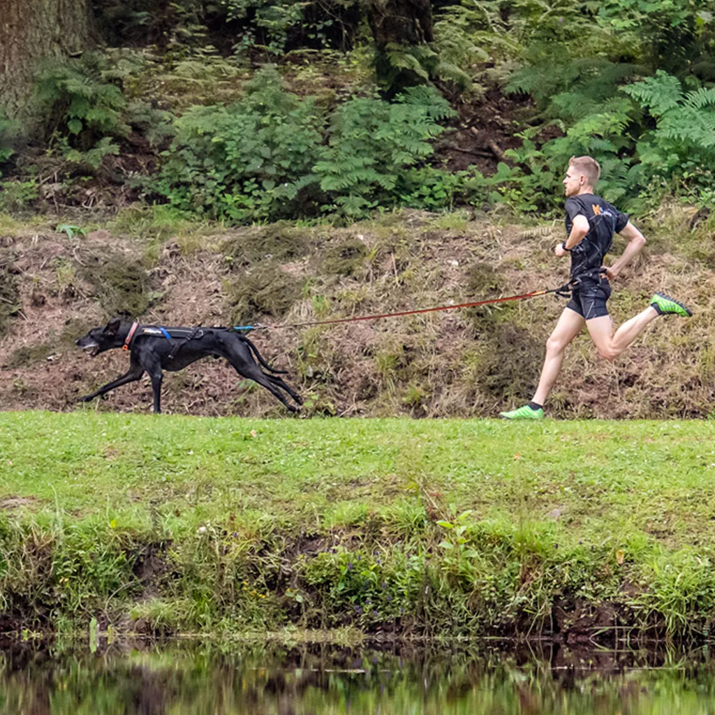 Non-stop Dogwear CANIX-BELT | 123X | Cani-Cross Lauf-Gürtel, Größe:L 9 Non-stop Dogwear CANIX-BELT | 123X | Cani-Cross Lauf-Gürtel, Größe:L – Bild 9