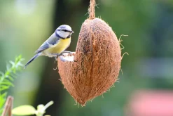 Dobar 23-teiliger Vogelfutter Spezialitäten-Mix Für Wildvögel, Inkl. Meisenknödel, 2700g Wildvogelfutter -Garten- & Gewächshäuser Geschäft 37702a60bc1a12ba13265a417d9e255e