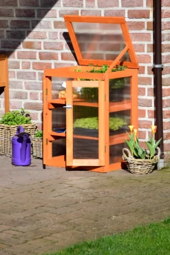 Dobar Mini-Gewächshaus Mit Polycarbonat, Balkon Und Indoor-Treibhaus, Holz, 58 X 43 X 76 Cm, Braun 18 Dobar Mini-Gewächshaus Mit Polycarbonat, Balkon Und Indoor-Treibhaus, Holz, 58 X 43 X 76 Cm, Braun -Garten- & Gewächshäuser Geschäft 386a2cf0adcbfea818e785e2529e49d6