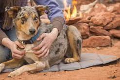 Ruffwear Highlands Pad Bett Cloudbust Gray, Größe:M 21 Ruffwear Highlands Pad Bett Cloudbust Gray, Größe:M -Garten- & Gewächshäuser Geschäft 386bf544584f177ff060ec8213c93b6b