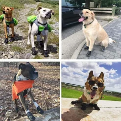 Jormftte Wasserdichte Hundeschuhe, 4 Pcs Hundeschuhe Pfotenschutz, Wasserdicht Mit Anti-rutsch Sole Passend Für Mittlere Und Große Hunde -Garten- & Gewächshäuser Geschäft 38a051925af738016964cefe7ee5c347