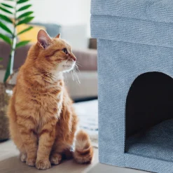 Relaxdays Katzenhöhle Hocker In Grau -Garten- & Gewächshäuser Geschäft 393a3836ac866ca5de29b9e438342c66